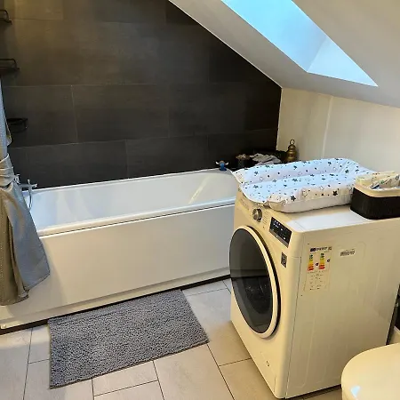 Apartment Le Cocon De Proche Europapark Marckolsheim