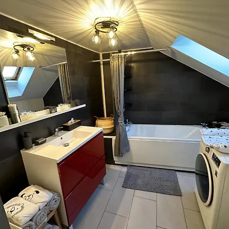 Apartment Le Cocon De Proche Europapark *