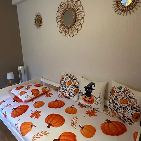 Apartment Le Cocon De Proche Europapark