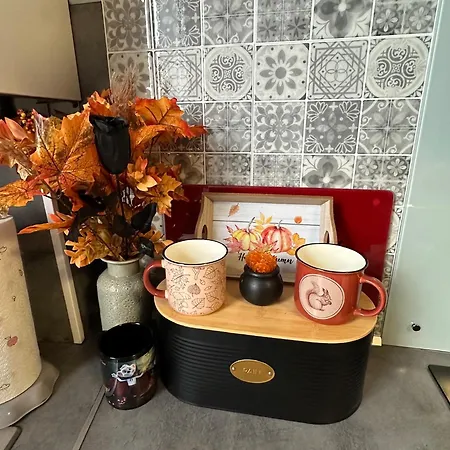 Le Cocon De Proche Europapark Apartment Marckolsheim