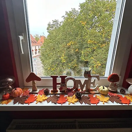 Le Cocon De Proche Europapark Apartment *