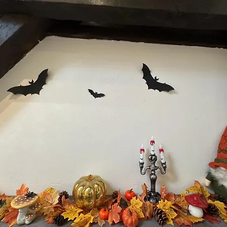 Le Cocon De Proche Europapark * Marckolsheim