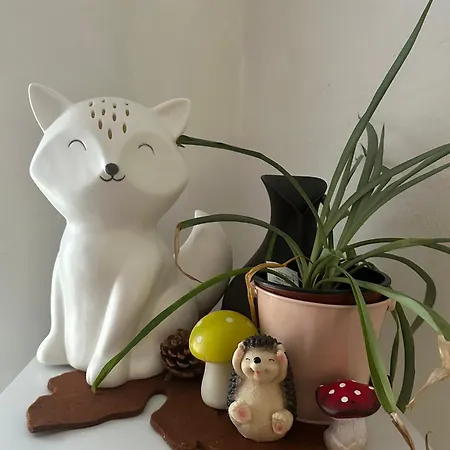 Le Cocon De Proche Europapark Apartment *