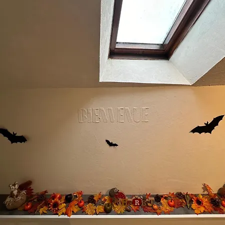 Apartman Le Cocon De Proche Europapark