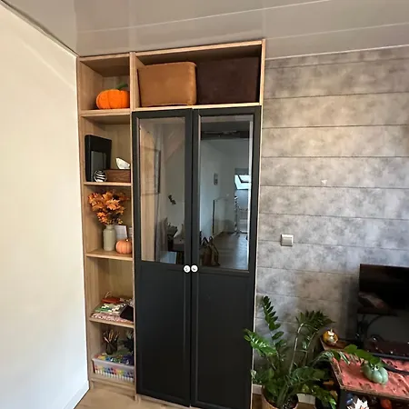 Le Cocon De Proche Europapark Apartment Marckolsheim