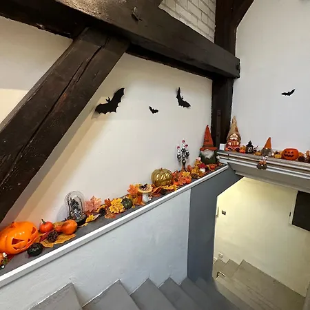 Le Cocon De Proche Europapark *