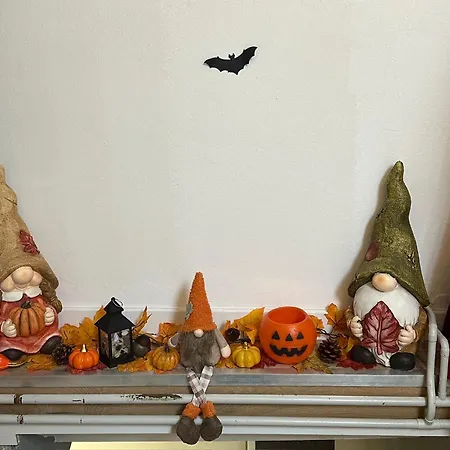 Le Cocon De Proche Europapark Apartment Marckolsheim