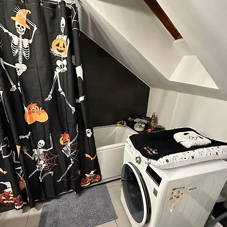 Apartman Le Cocon De Proche Europapark