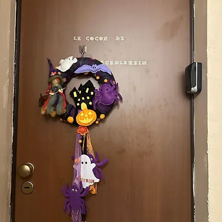 Le Cocon De Proche Europapark * Marckolsheim